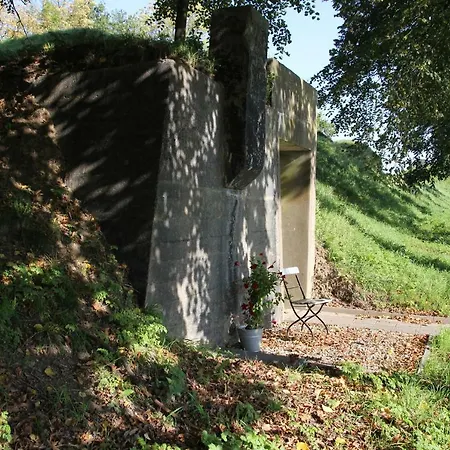 Vakantiehuis Het Willemshuis