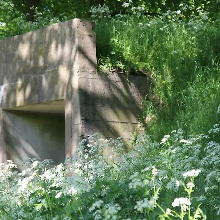 Het Willemshuis Oda ve Kahvaltı 4*