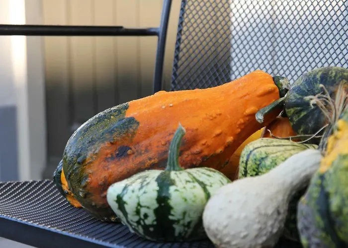 Het Willemshuis Couette-café Willemstad (North Brabant)