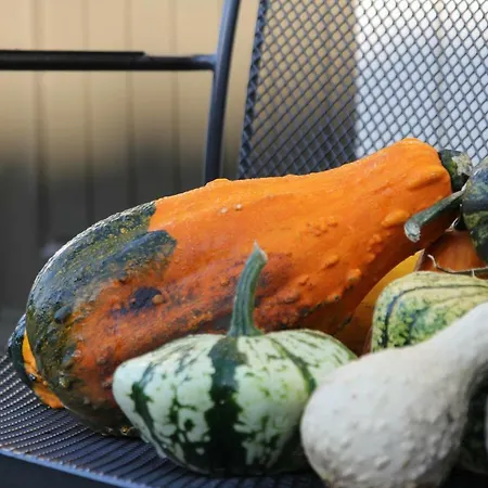 Het Willemshuis Panzió Willemstad