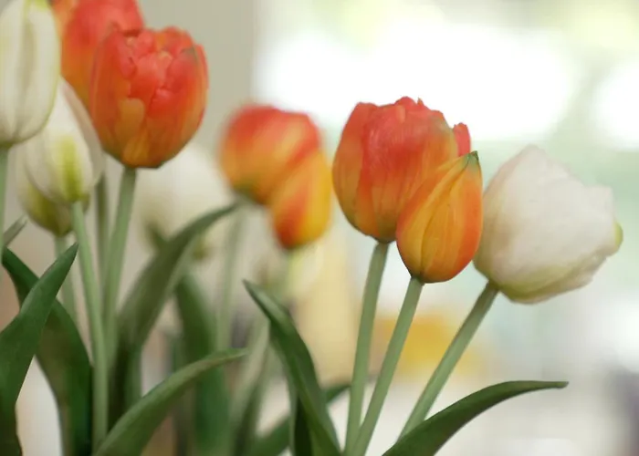 Het Willemshuis Panzió 4*